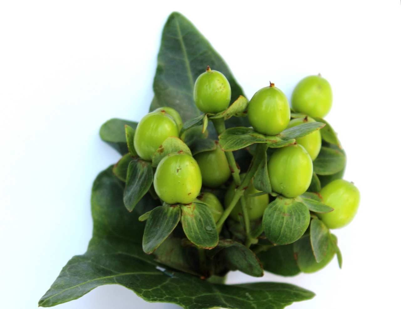 Holiday Entertaining – Decor and Winter Florals