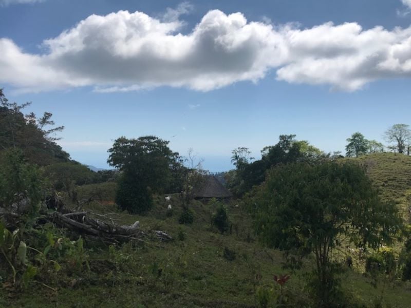 Spring Fed Ocean View Acreage, Uvita, Puntarenas