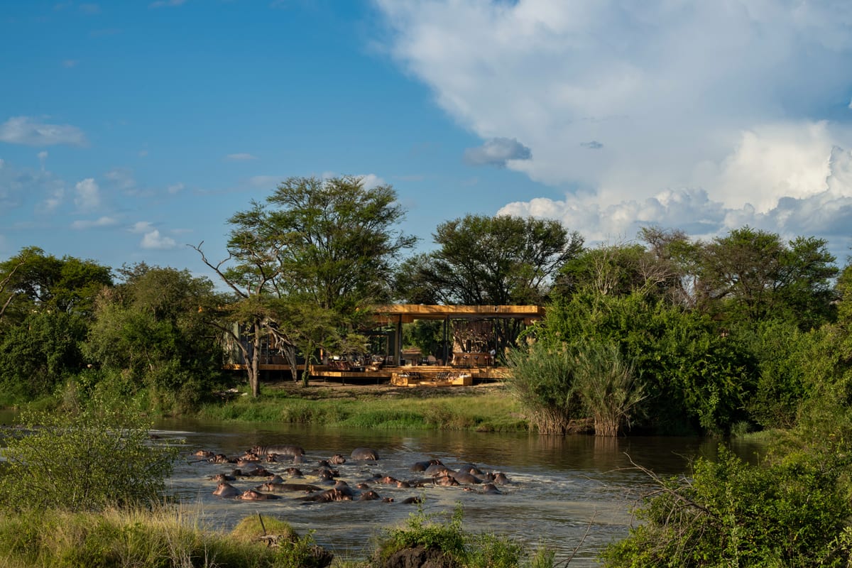 Summer 2022 Travel Trend: Safari off the Beaten Path