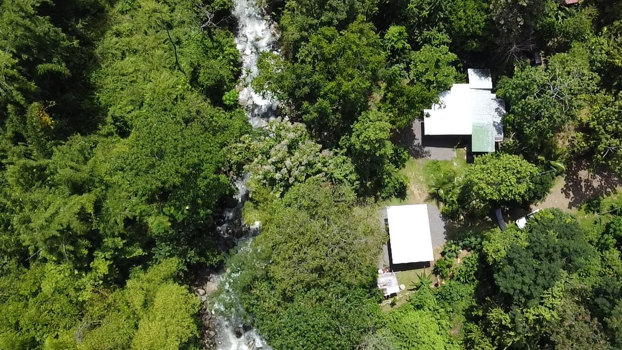 Riverfront Dream Property