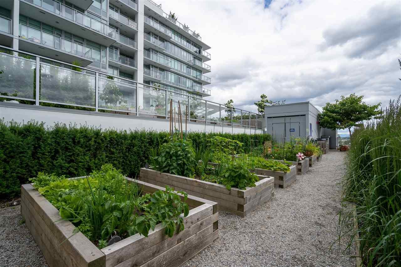 506-200 Nelson's Cres