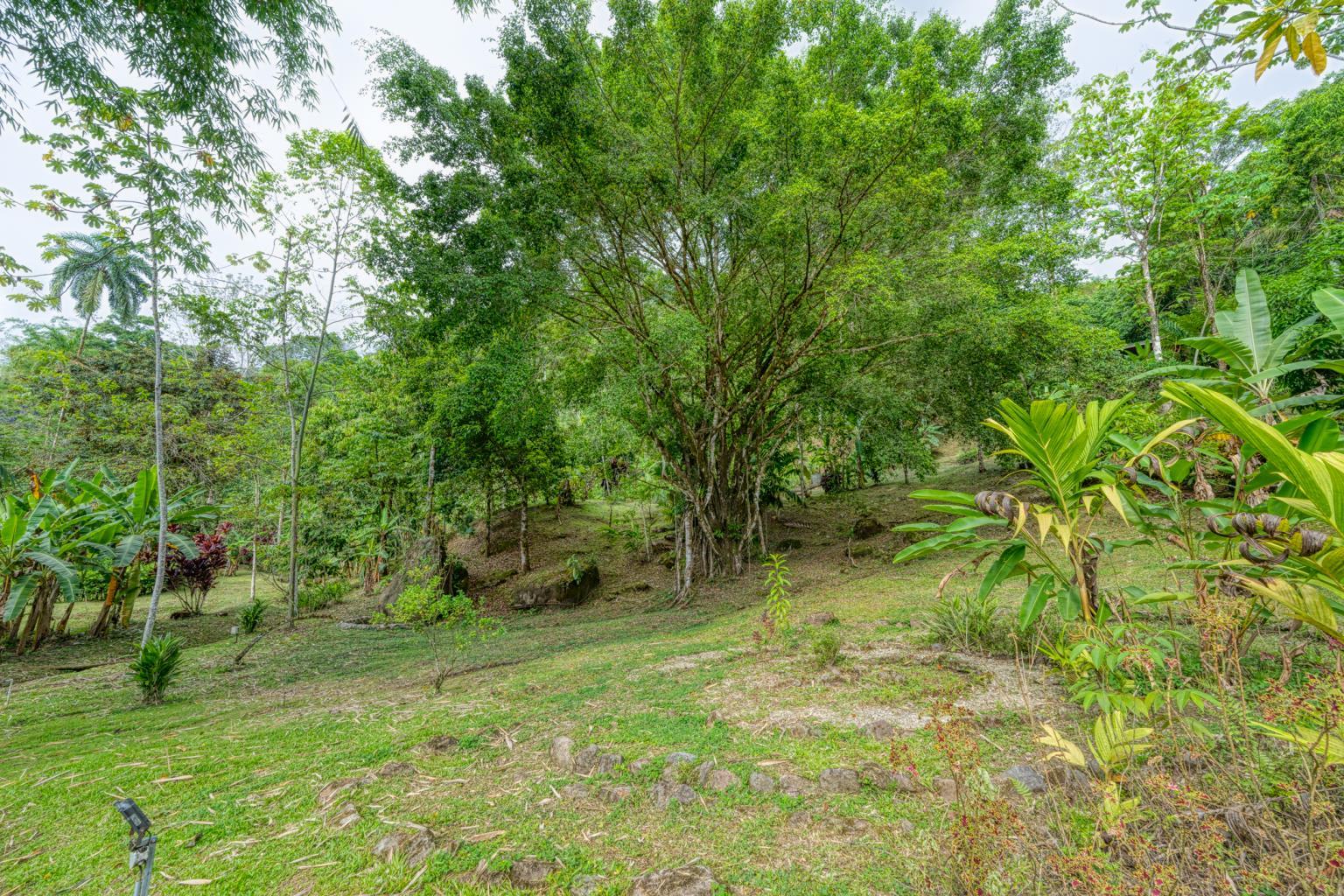 Exceptional Retreat Center on 62 Acre in Tinamastes