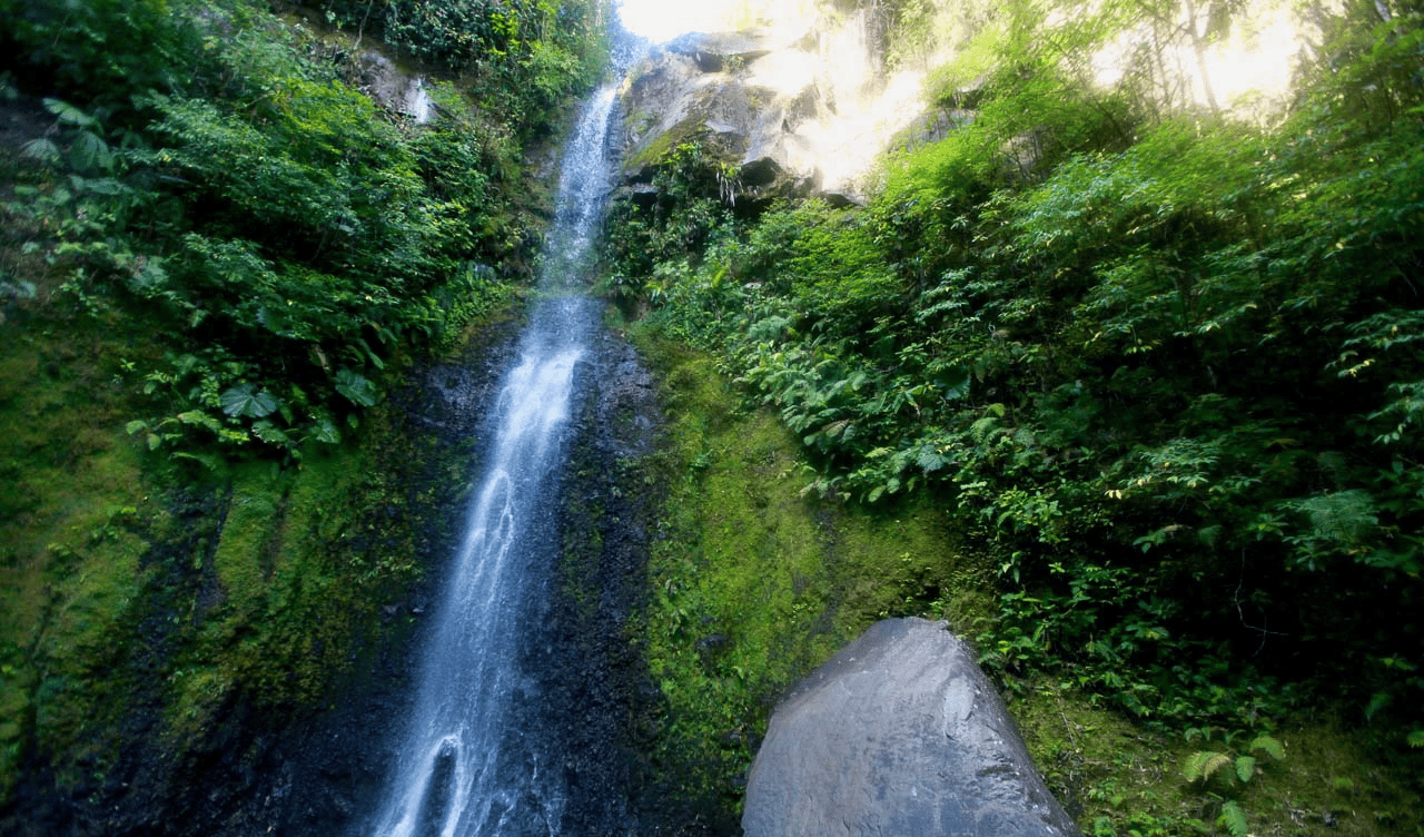 Waterfall Sanctuary with Hiking Trails