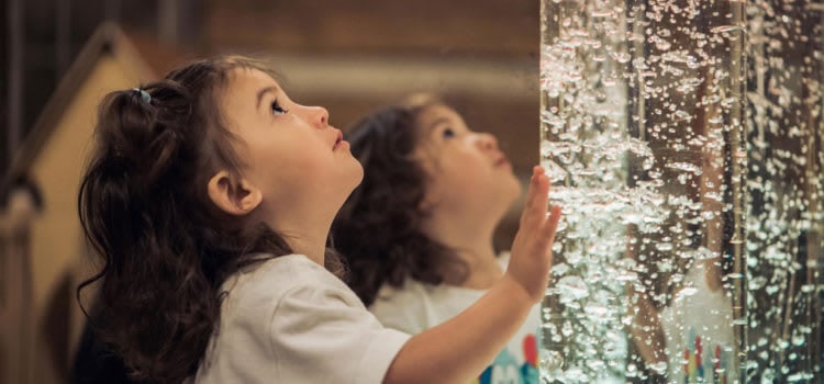 Give Boldly: Virginia Discovery Museum