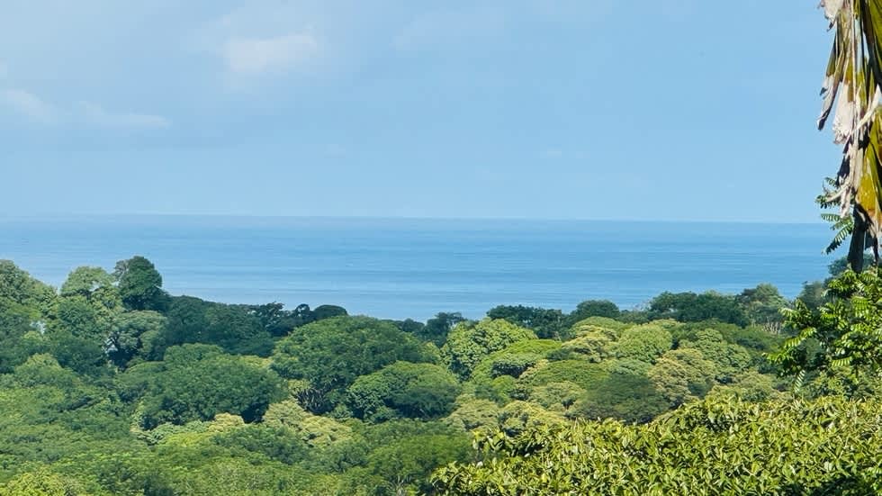 Tranquil Luxury Retreat with Stunning Ocean Views in Uvita