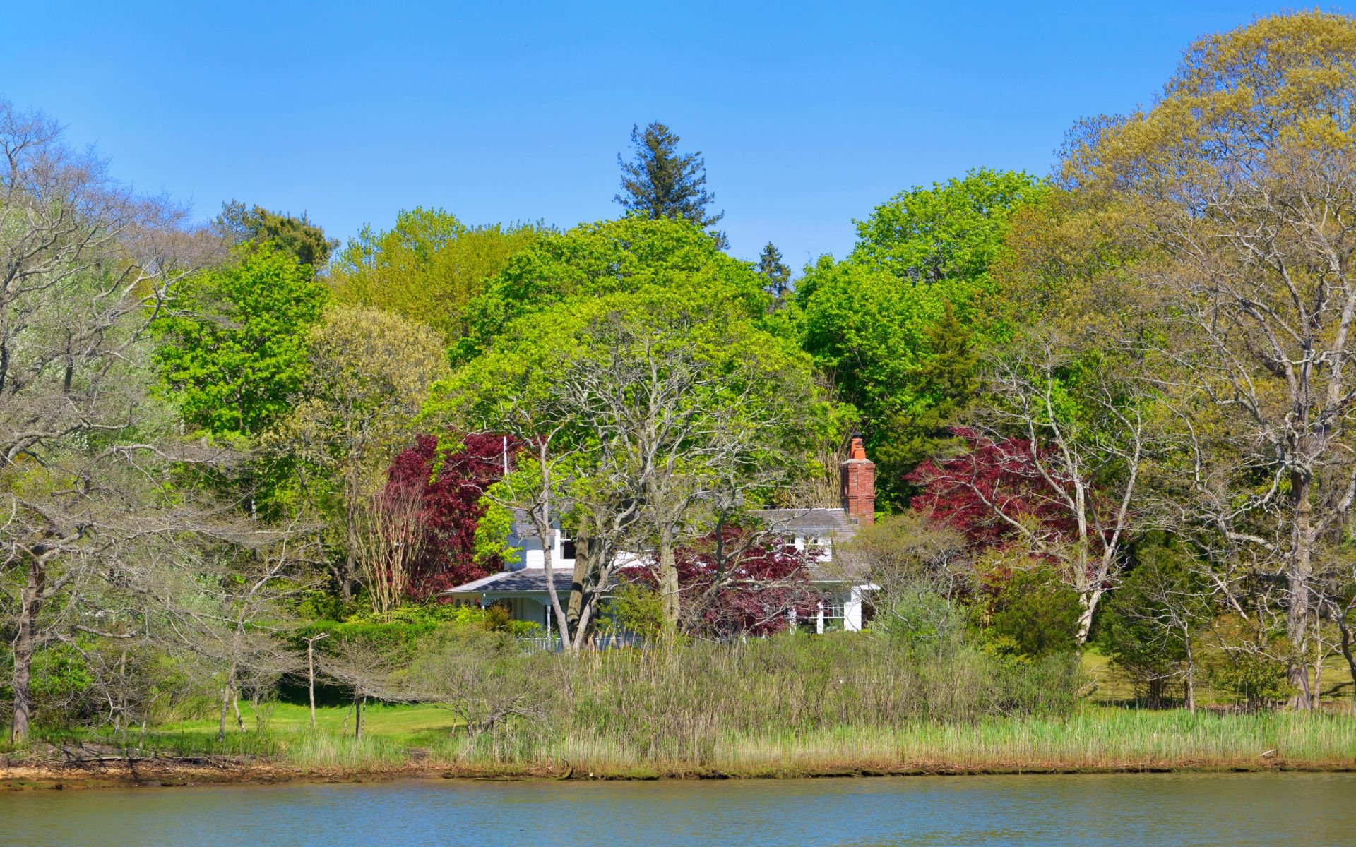 A Sag Harbor Fairy Tale