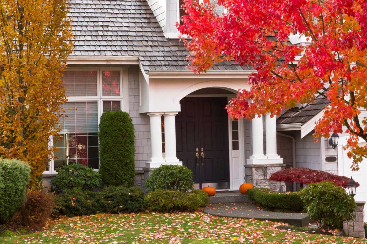 Want to Spice Up Your Kitchen This Fall? Try This Trend