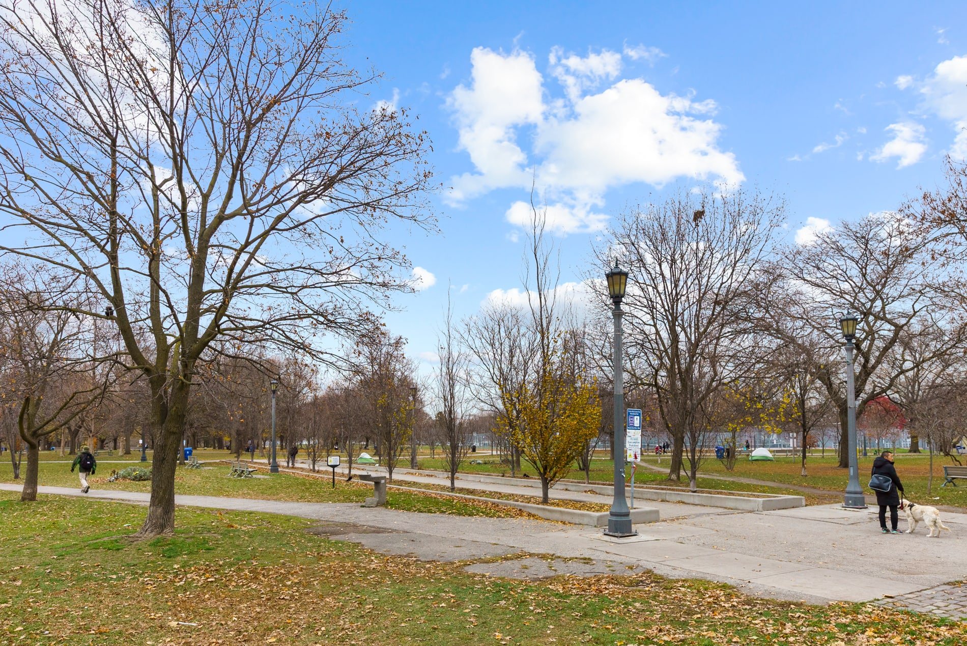 Trinity Bellwoods Townhouse