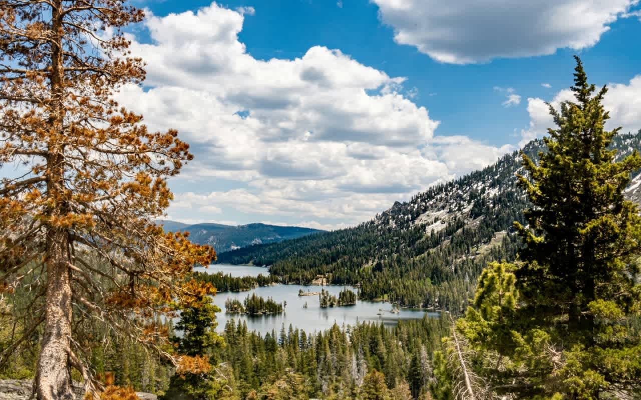 Scenic alpine lake surrounded by lush green forests and snow-capped mountains.