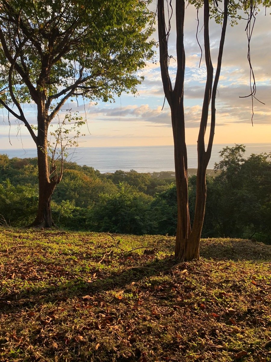 Sustainable Ocean View Lot, Nosara, Guanacaste
