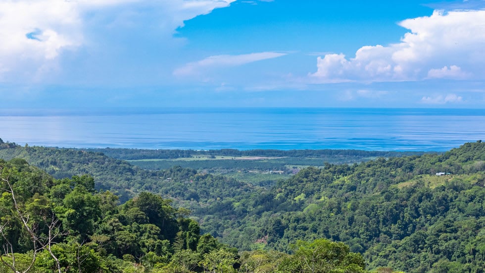 238 Acre Ocean View Property in Portalon with Waterfall