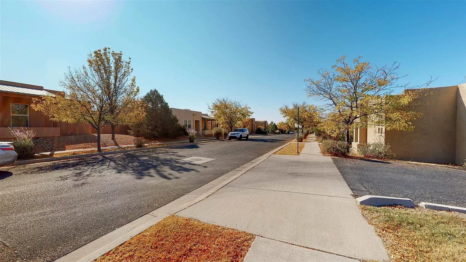 3 Butterfly Bush Ct