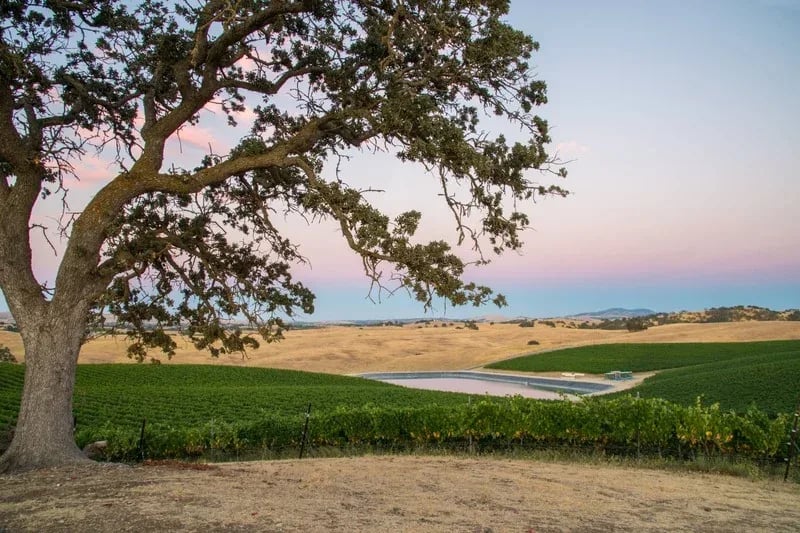  Paso Robles AVA