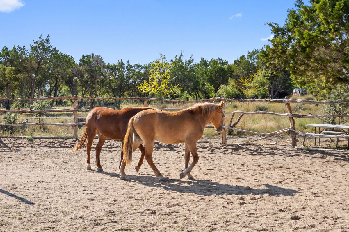 Ranch at Cypress Hill Springs