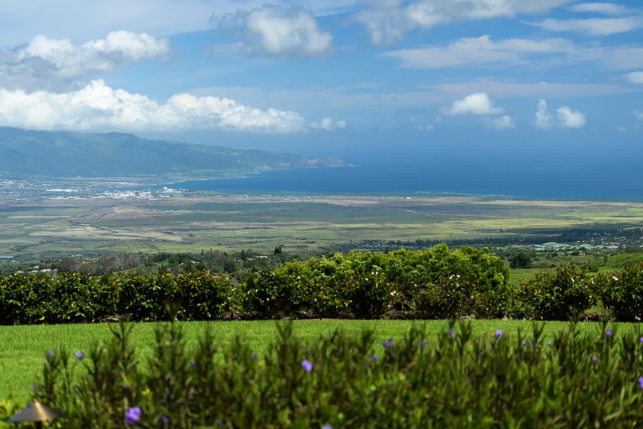 14830 Haleakala Highway property image