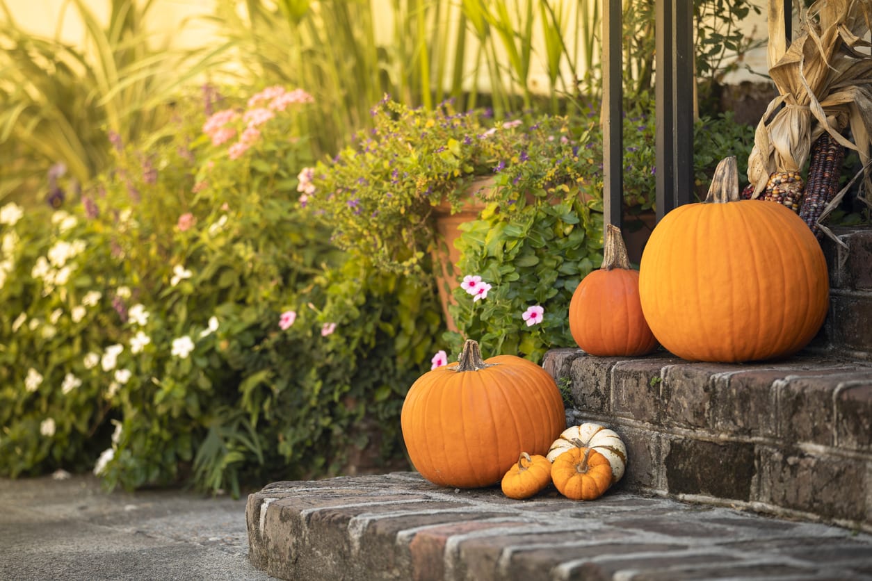 October Must-Attend Events in Charleston