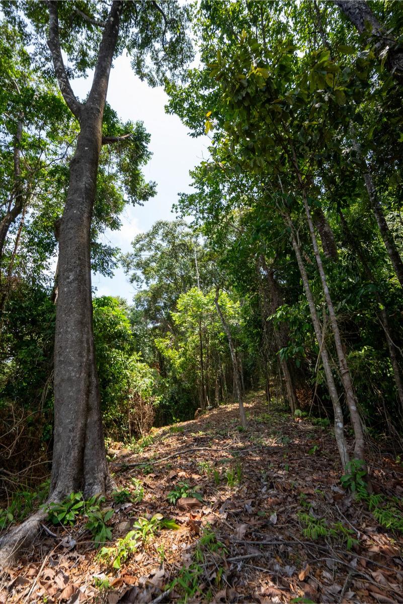 Private Ocean View Development Lot, Dominical, Puntarenas