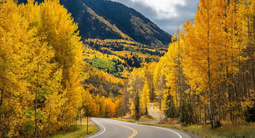 Top Places to See Fall Leaves in Colorado