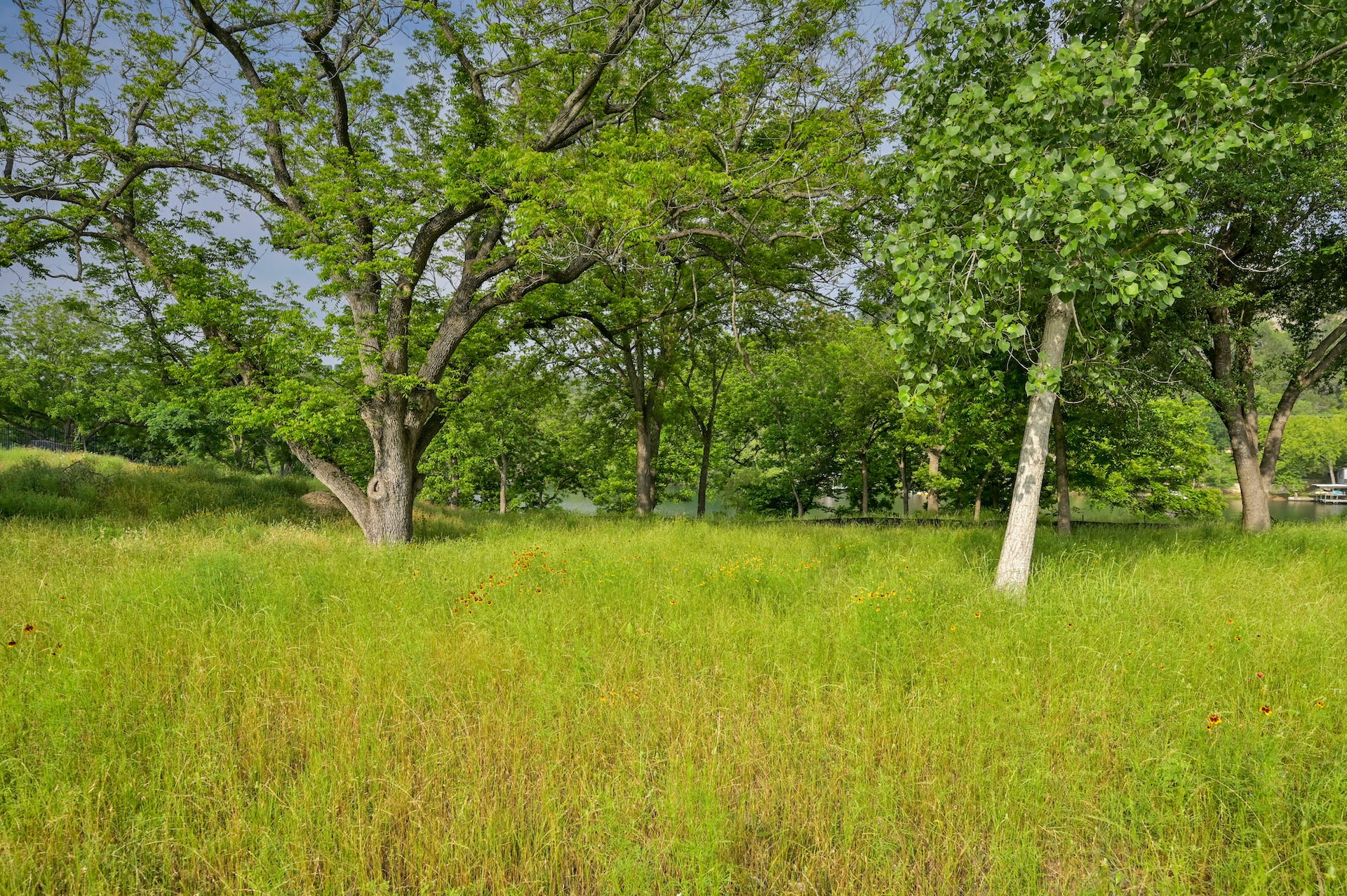 14116 Flat Top Ranch Road