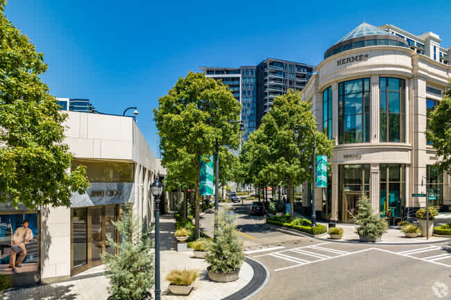 Buckhead Atlanta - Upscale neighborhood featuring luxurious homes, sleek high-rises, and premier shopping and dining, offering the finest in sophisticated urban living.