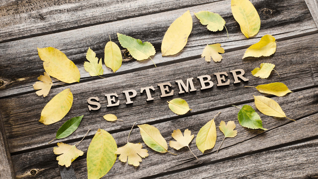 An image featuring the word "September" on a wooden background with scattered yellow leaves.