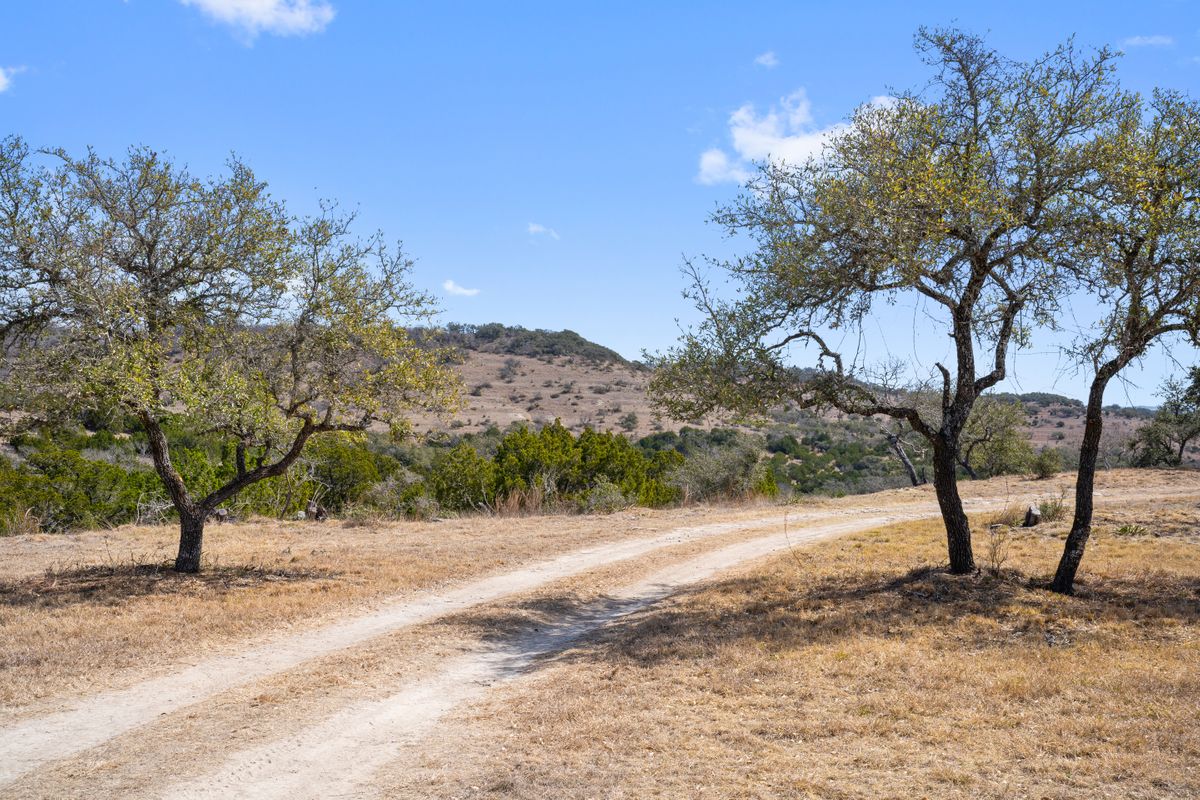 133 LANGLEY LN | 102 ACRES