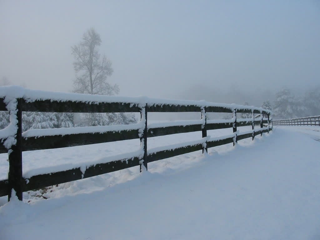 Creating a Family Compound