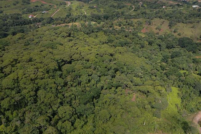 Farm In Chontales, 47 Acres With Ocean View And River
