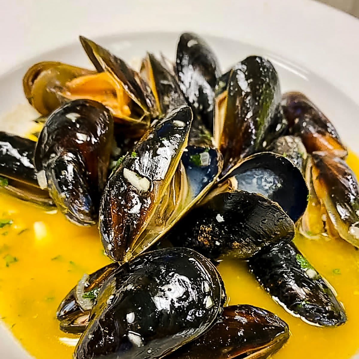 LOCAL LOVE – Winter 2021, Part 4