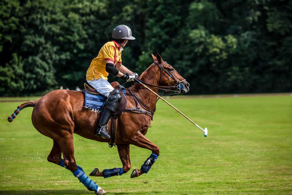Celebrity Polo Cup to Benefit Prince Harry's SENTEBALE at San Diego Polo Club