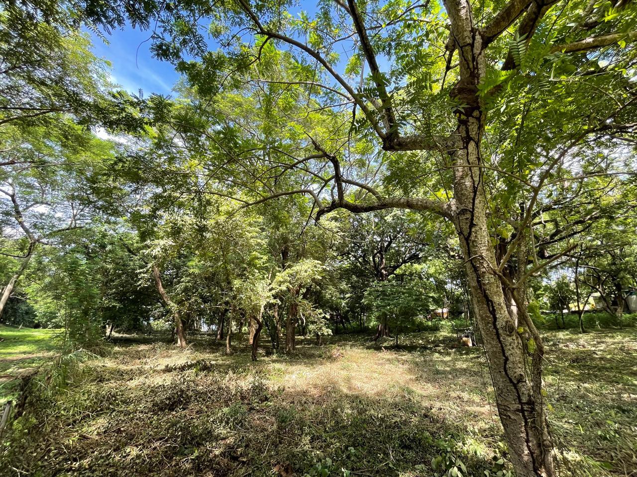 Beachfront Development Land, Tamarindo, Guanacaste