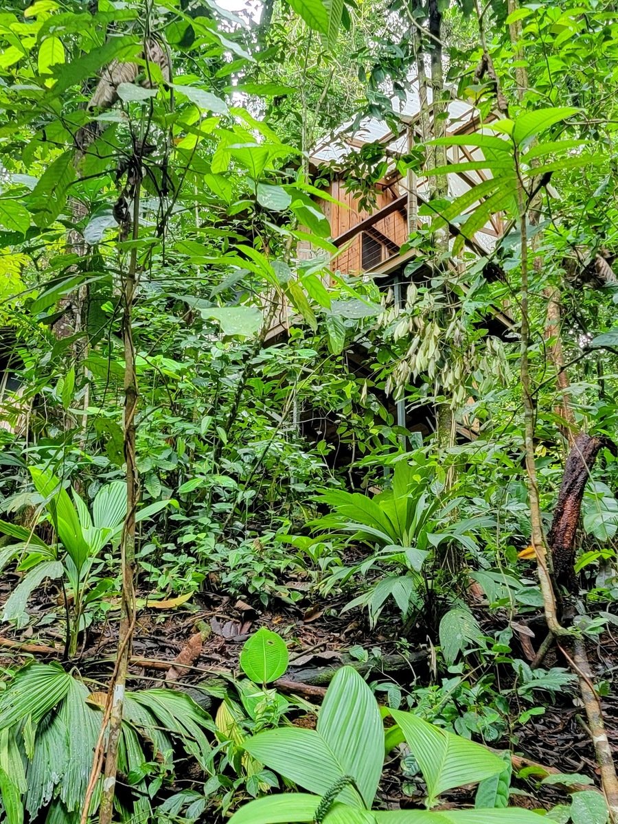Sustainable Community House, Osa, Puntarenas