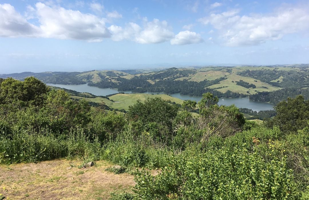 Steam trains, creeks and piglets: The secrets of Tilden Park