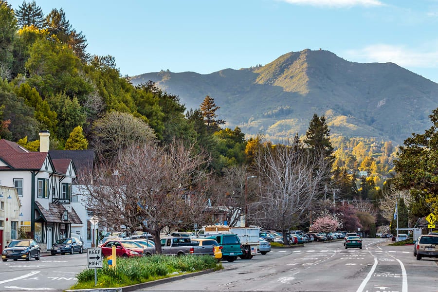 Mill Valley, California: Your Gateway to Tranquil Living Amidst Nature's Splendor