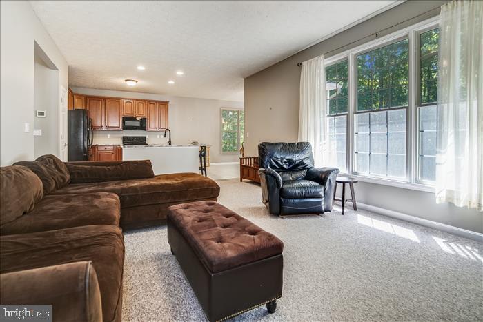 23298 Misty Pond Ln
