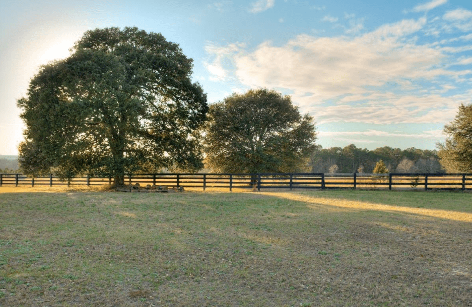 New Bridge Polo & Country Club