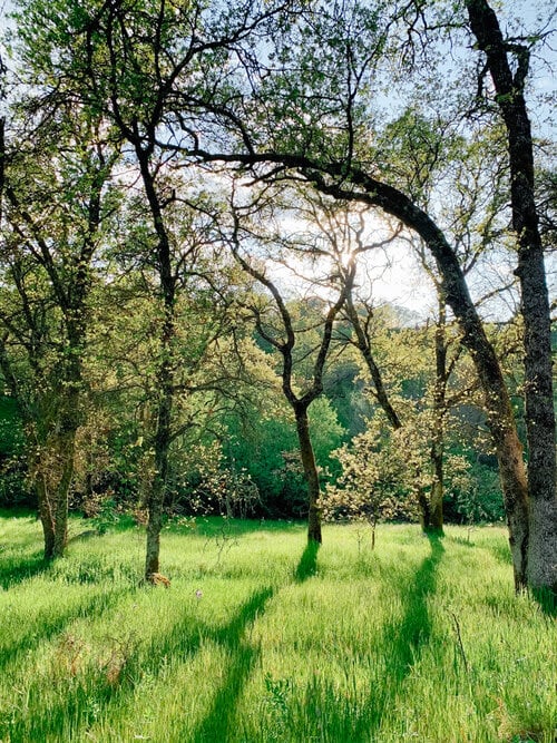 Folsom's Hinkle Creek Nature Trail