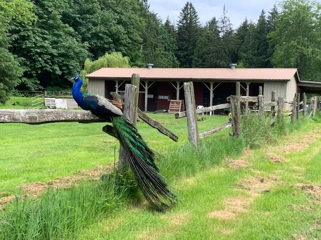 19B Sea Ranch