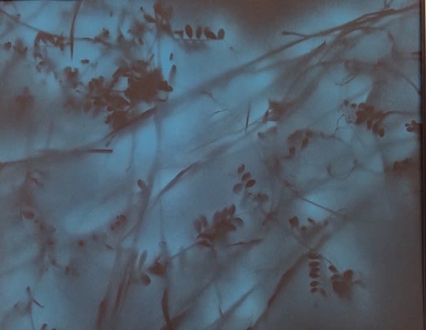 Wilson Downtown Gallery: Bob Bersson & Bobbie Greer