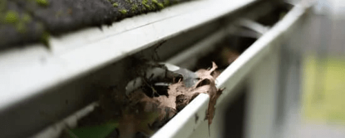 Home Maintenance Tips and Tricks - Gutters