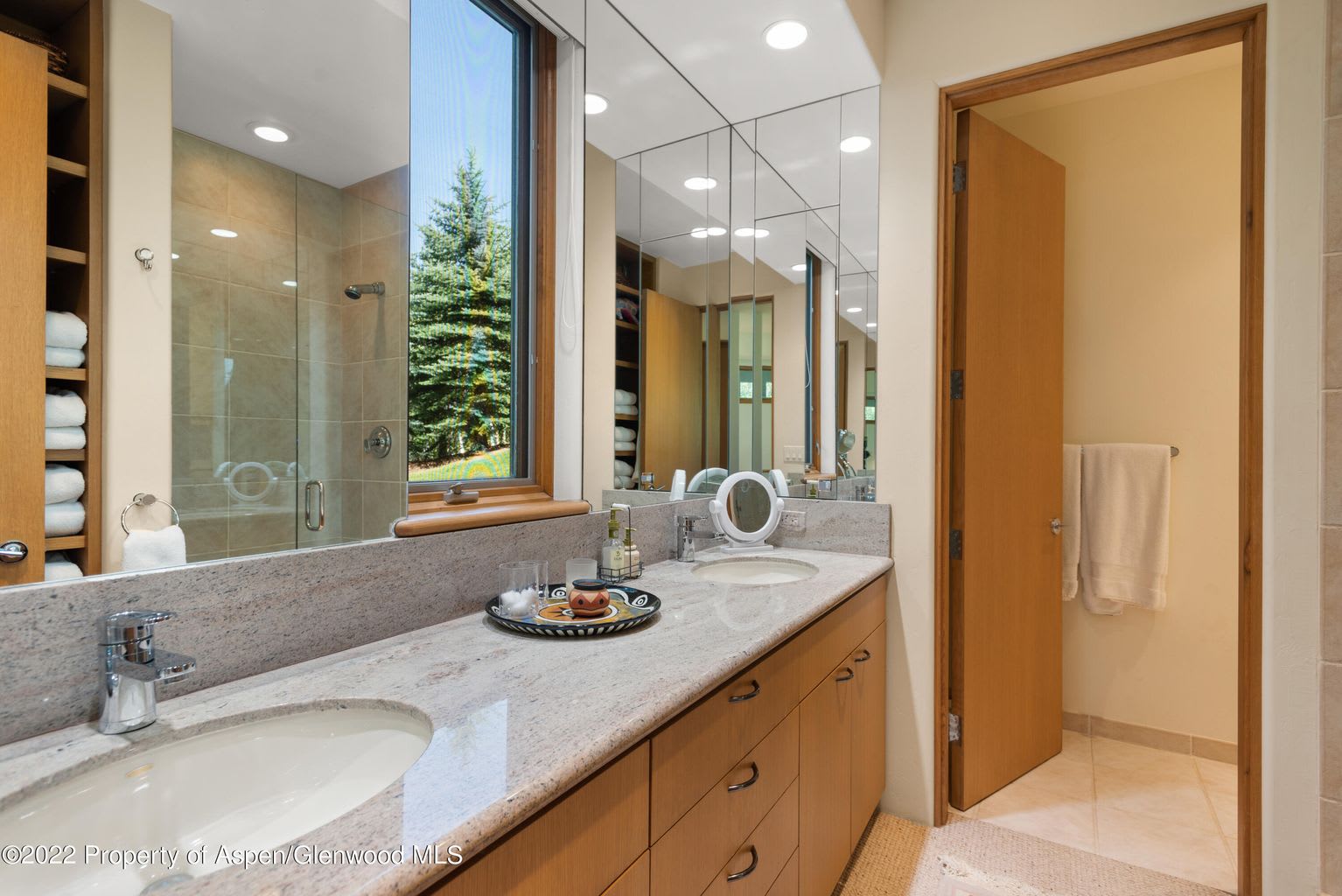 1161 Two Creeks Drive