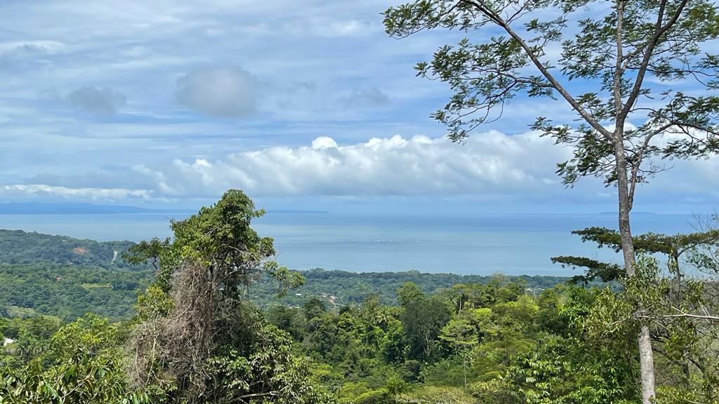 17 Acres of Paradise in Uvita, Jungle and Ocean View. 3 Plus Building Sites 