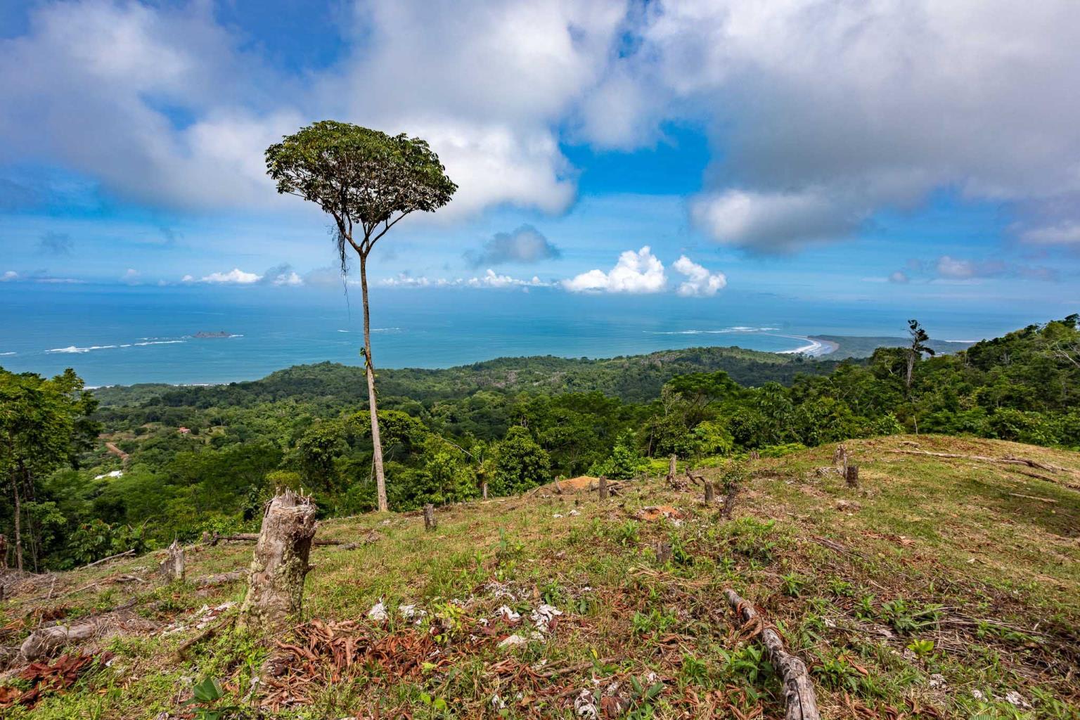Rare Opportunity: Pristine 16-Acre Oceanview Sanctuary for Exclusive Development in Uvita