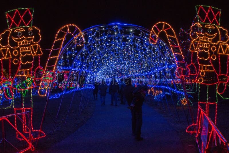 The Magic of Holiday Lights: Best Local Displays