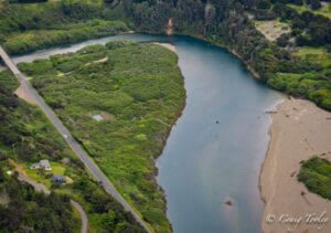 Mill Bend Conservation Project