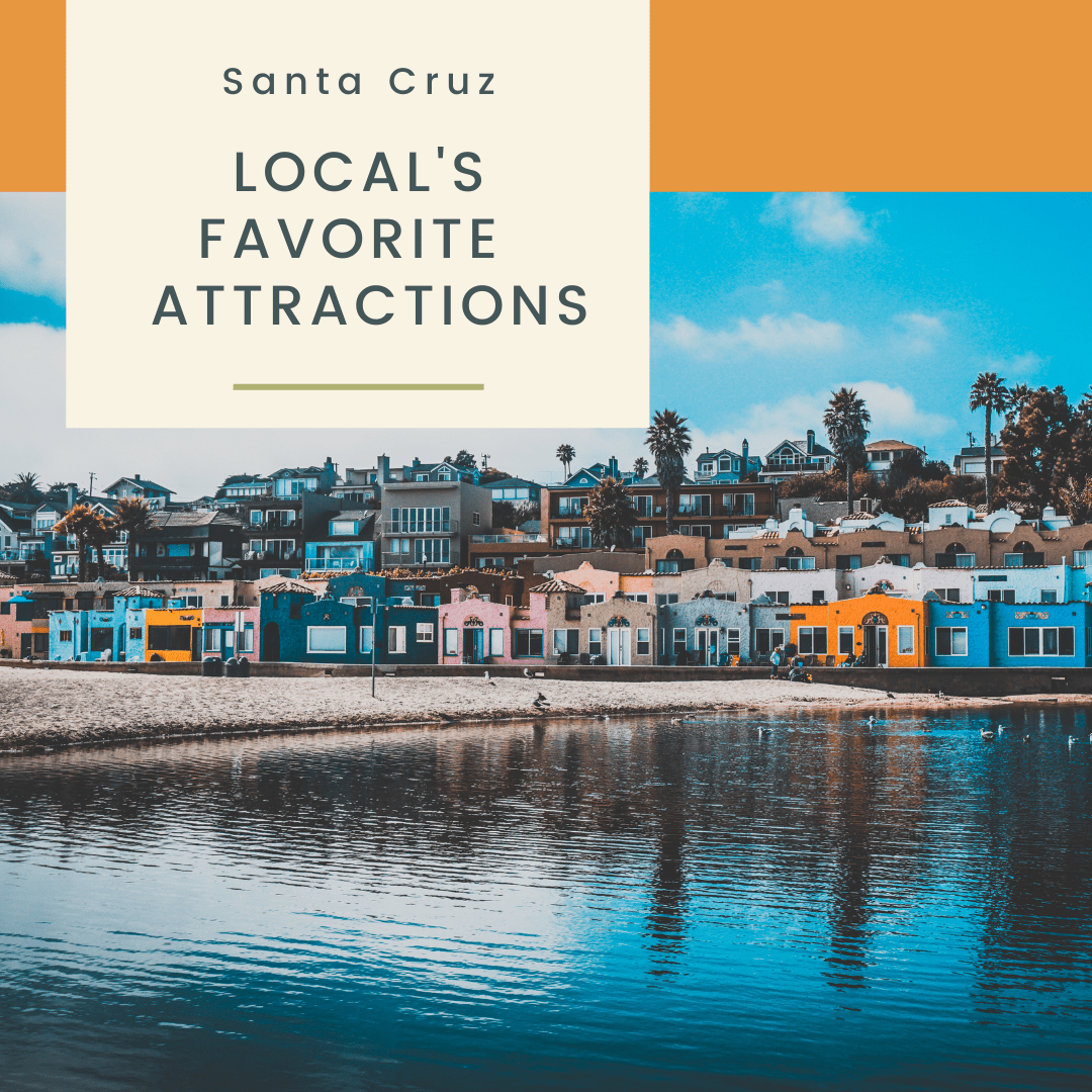 Little Known Places to Check Out in Santa Cruz