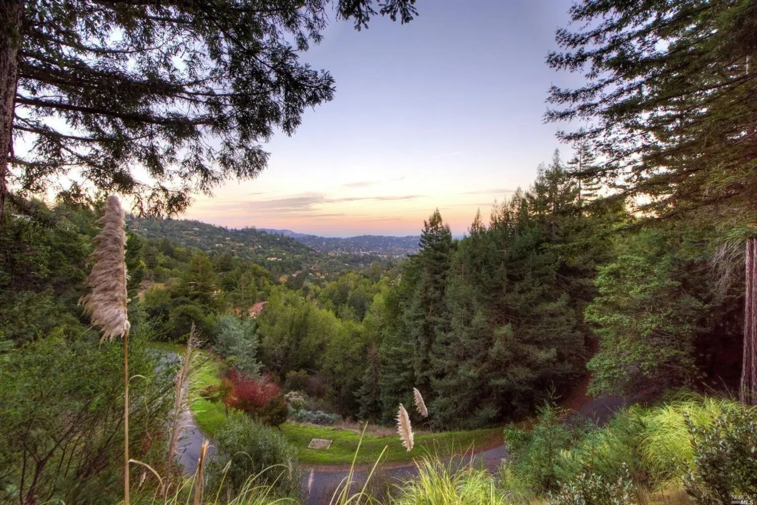 8 Woodland Pl