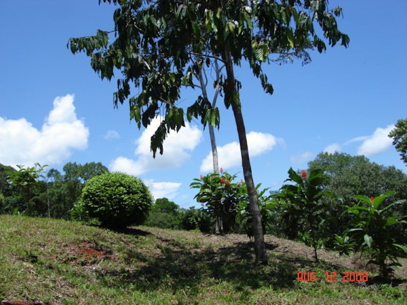 Prime Scenic Development Land, Manuel Antonio, Puntarenas
