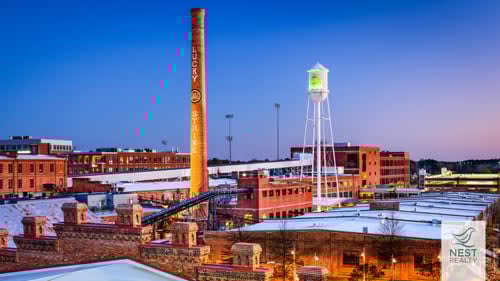 Nesty Zoom Backgrounds