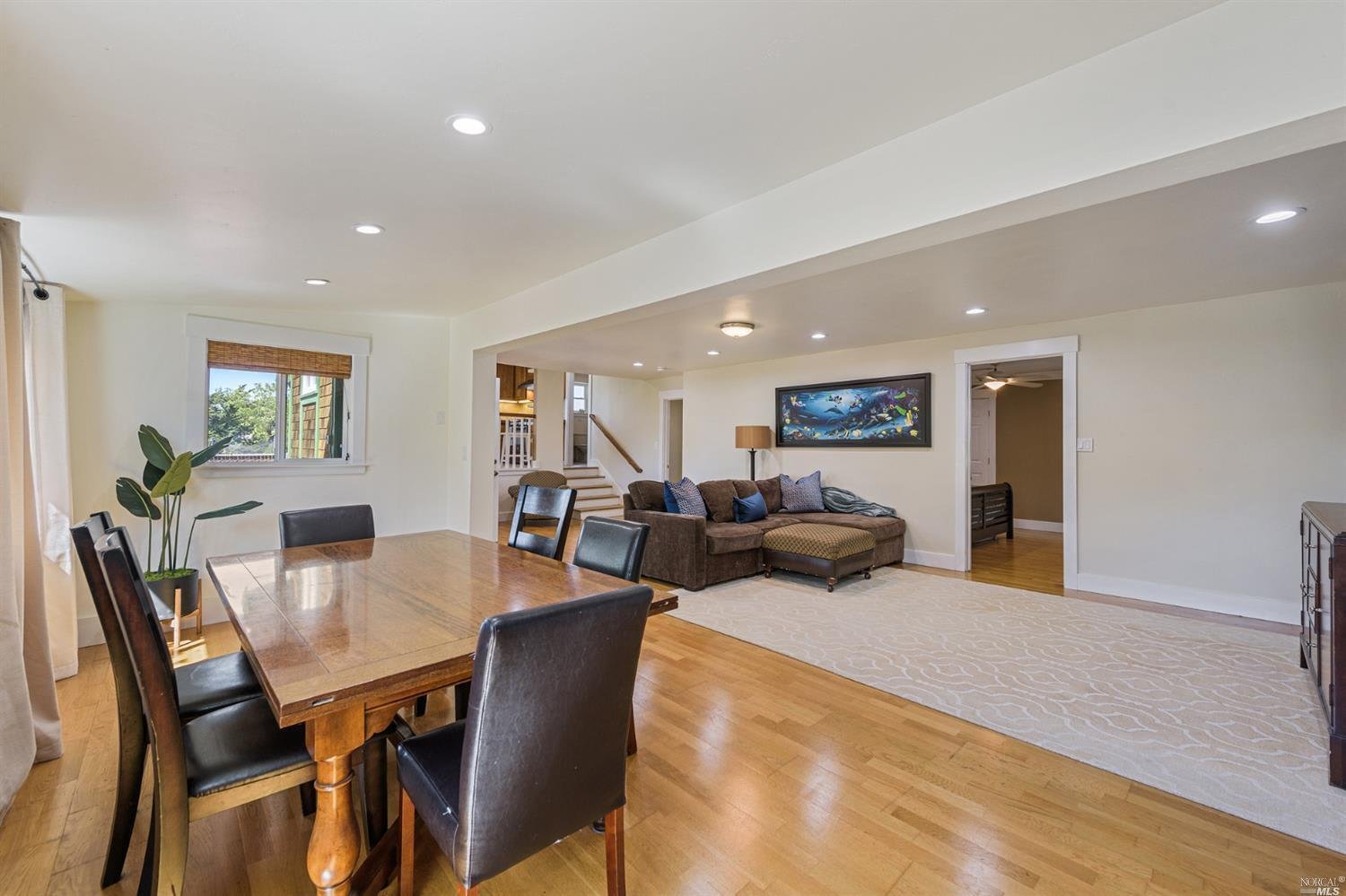 236 Cleveland Ln